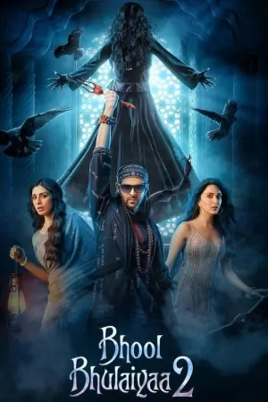 Bhool Bhulaiyaa 2 2022 Poster